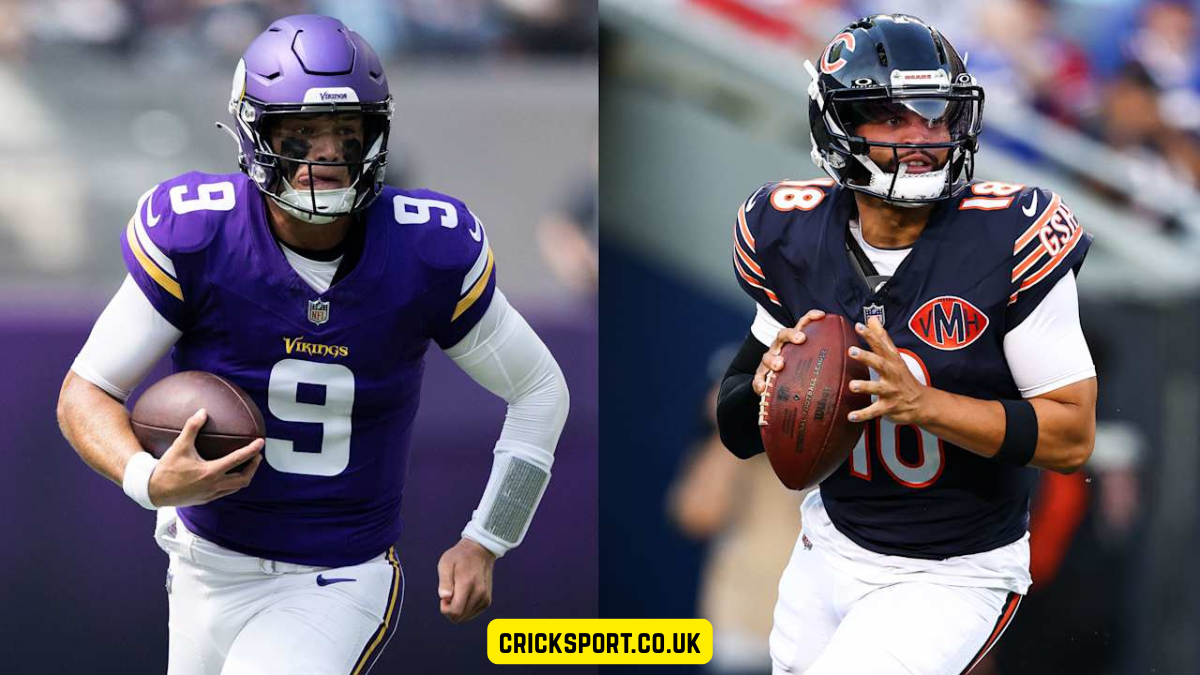minnesota vikings vs chicago bears match player stats