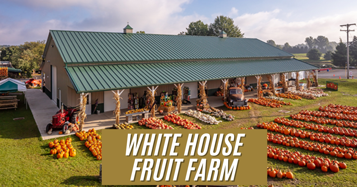 white house fruit farm